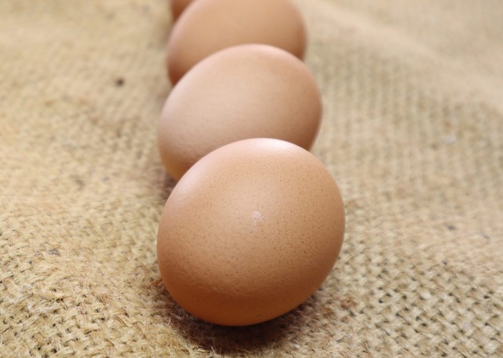 Eifarbe und Eier der Blausperber Hühner