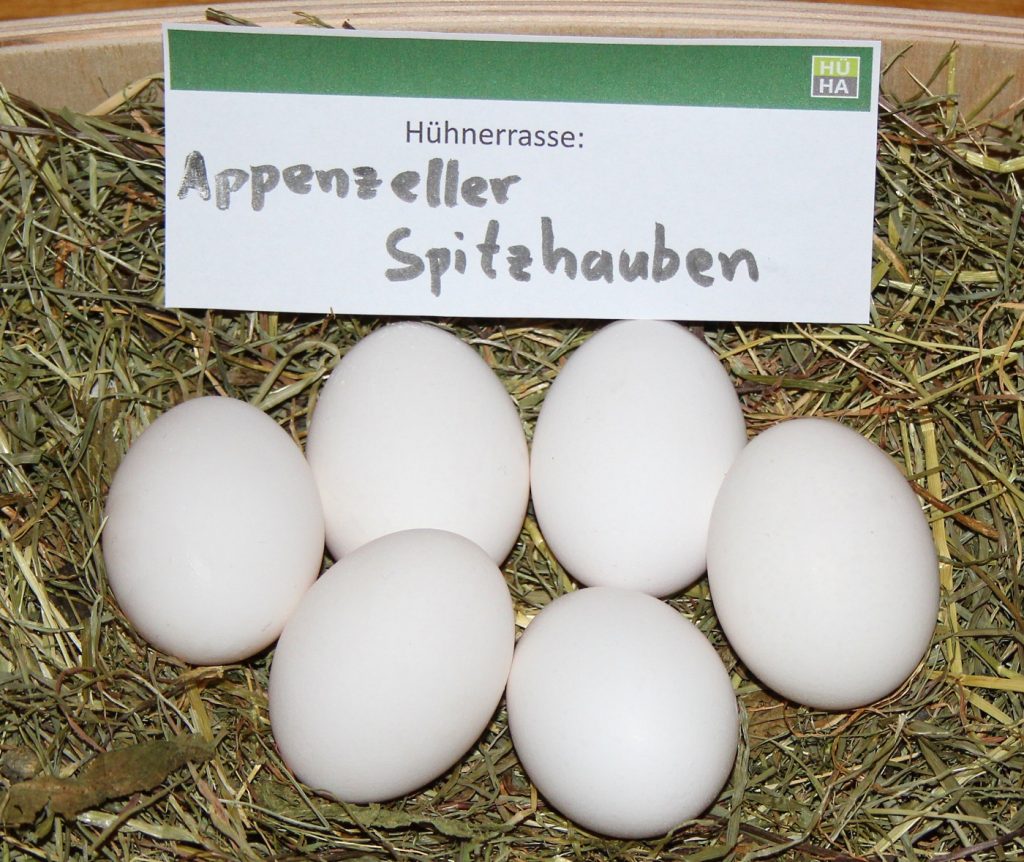 Foto mit 6 Appenzeller Spitzhauben Eier, auf dem man weiße Farbe gut erkennen kann.