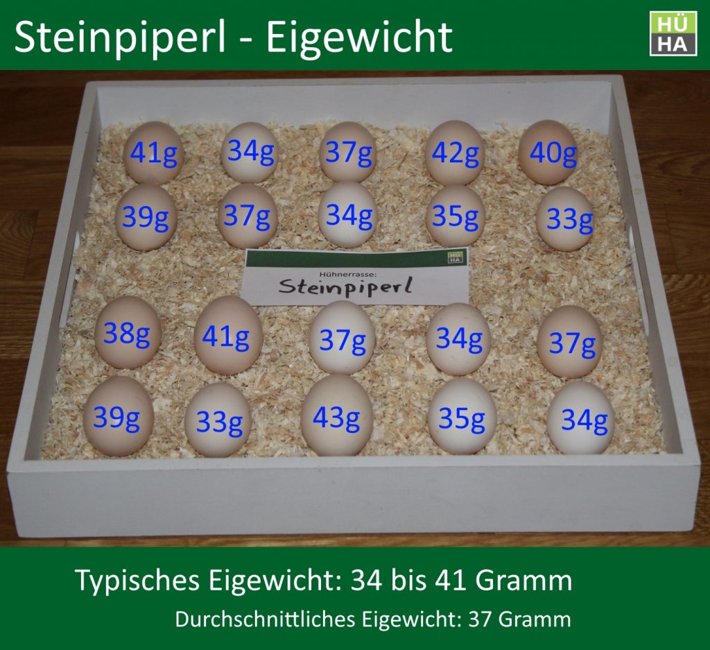 20 Steinpiperl Eier mit ihrem jeweiligen Eigewicht auf einem Tablett