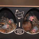 Hühner entglucken - Vier Chabo Hühner Glucken, die im Legenest sitzen
