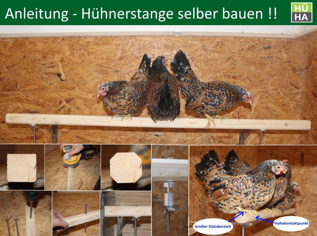 Robuste Holz-Sitzstange Für Vögel & Hühner - Natürlicher Spiel- Und Ruheplatz