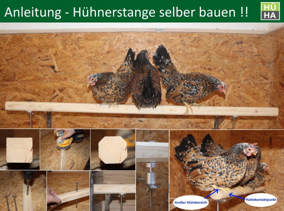 In dieser Schritt für Schritt Anleitung erklären wir, wie man eine Hühnerstange selber bauen kann