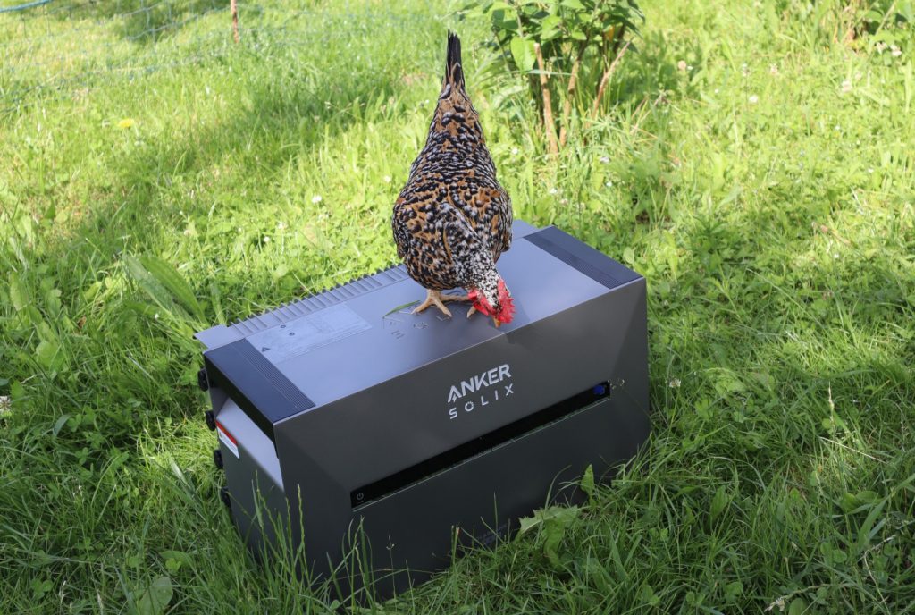 Henne auf Anker Solix Batterie