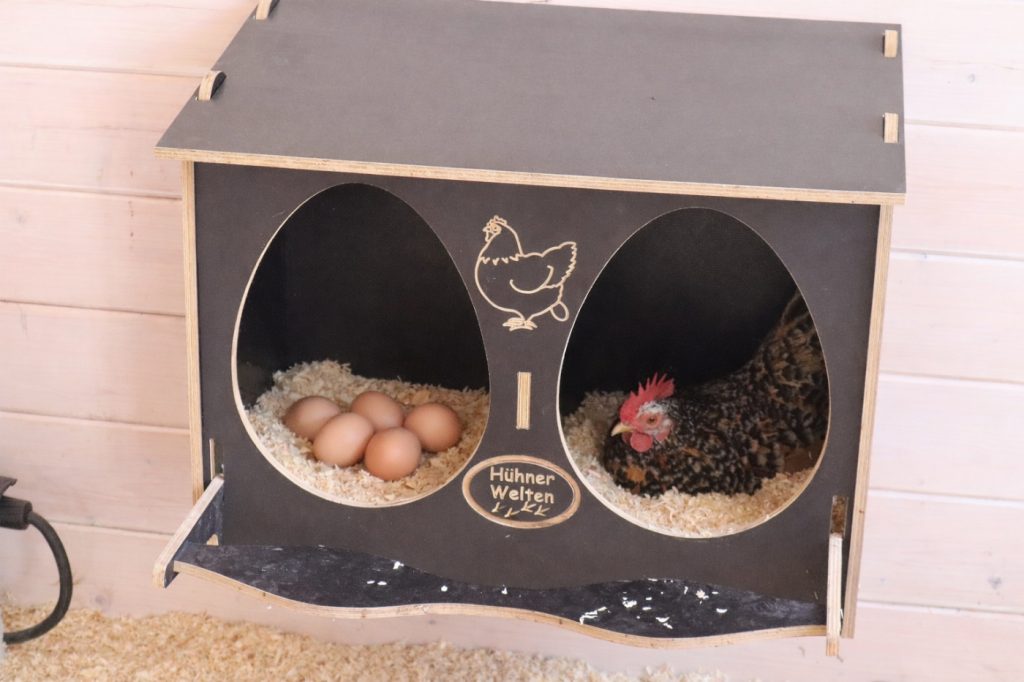 Eier im Legenest