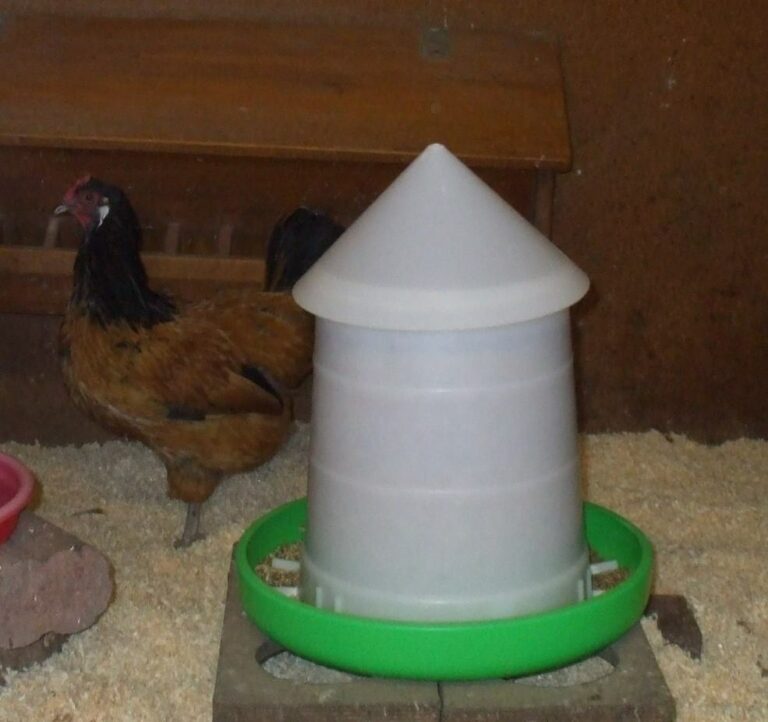 DIY-Anleitung: Automatische Hühnerfutter- und Tränken aus DIY-Anleitung: Automatische Hühnerfutter- und Tränken aus