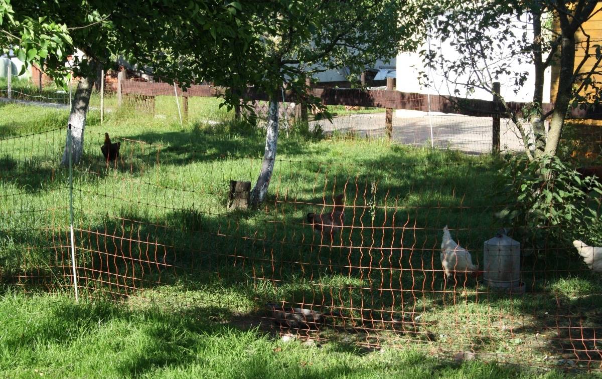 Zaun um den Auslauf der Hühner
