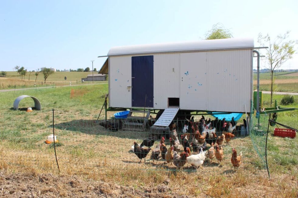Der mobile Hühnerstall