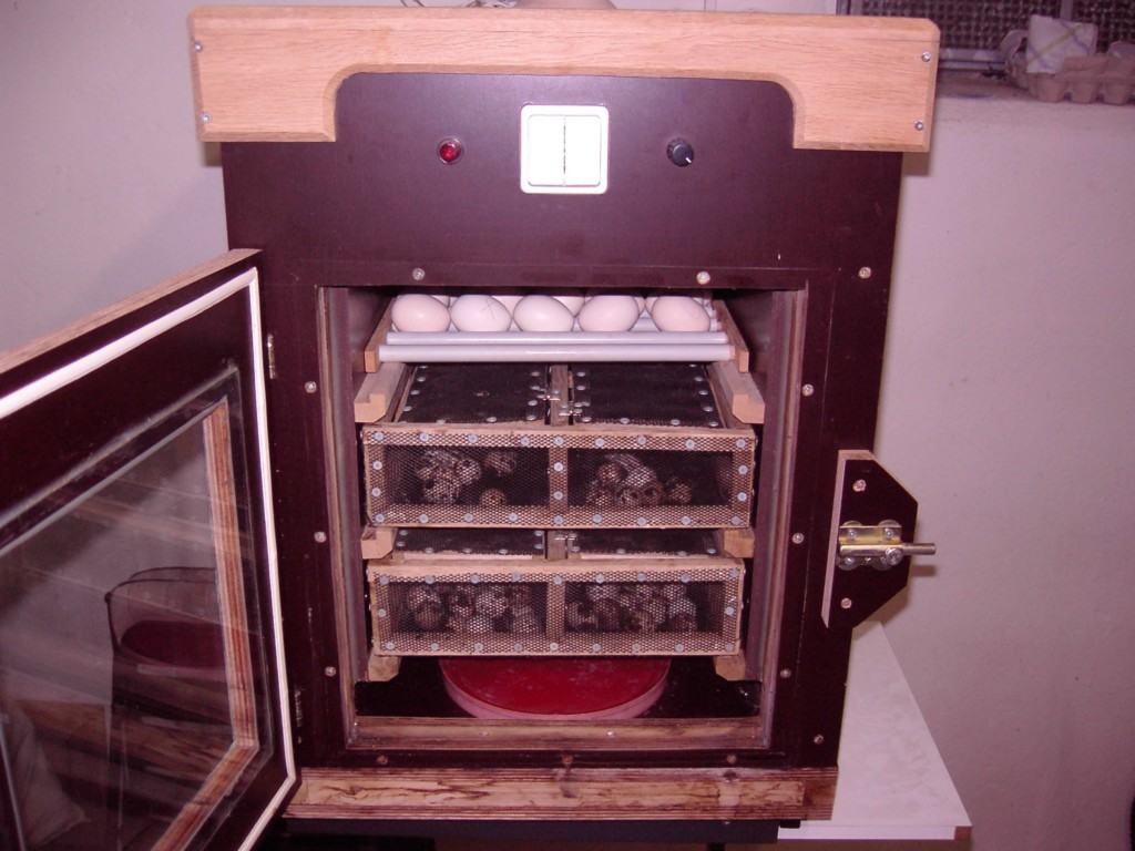 Motorbrüter zur Kunstbrut